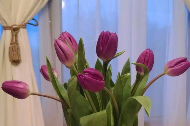 Florero con tulipanes