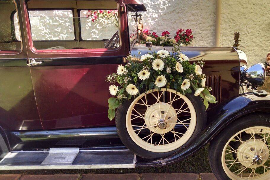 Auto de novia