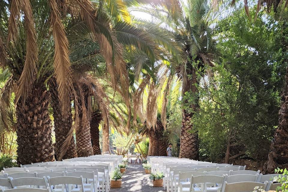 Camino de novia decorado con sillas blancas y flores