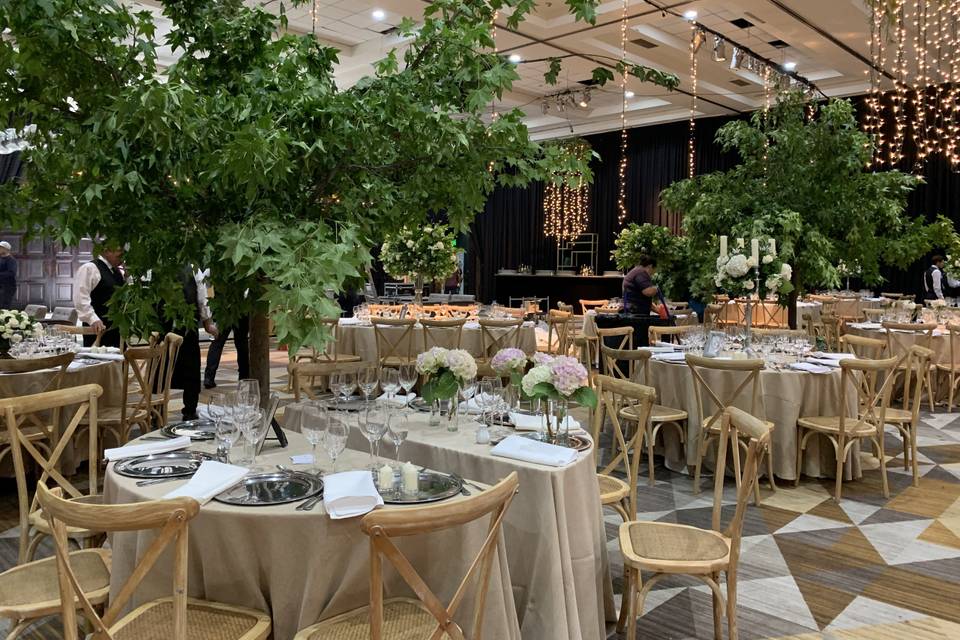 Matrimonio CasaPiedra