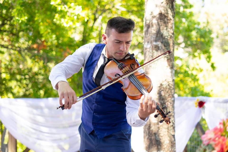 Violin Cerro Ñielol Temuco 2