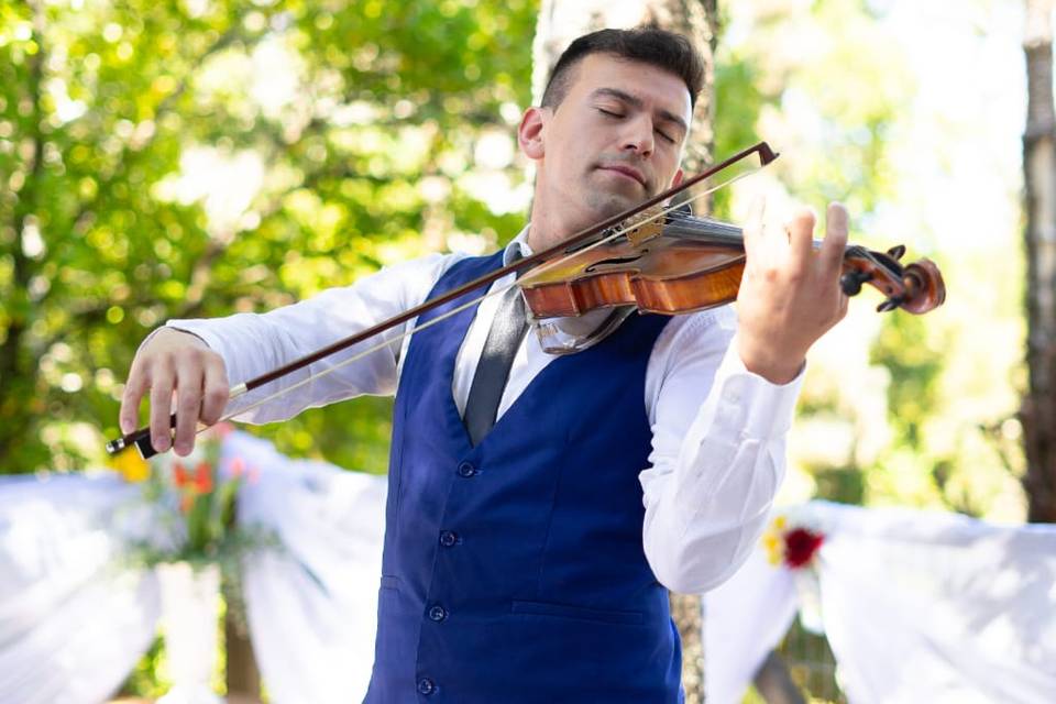 Violin Cerro Ñielol Temuco