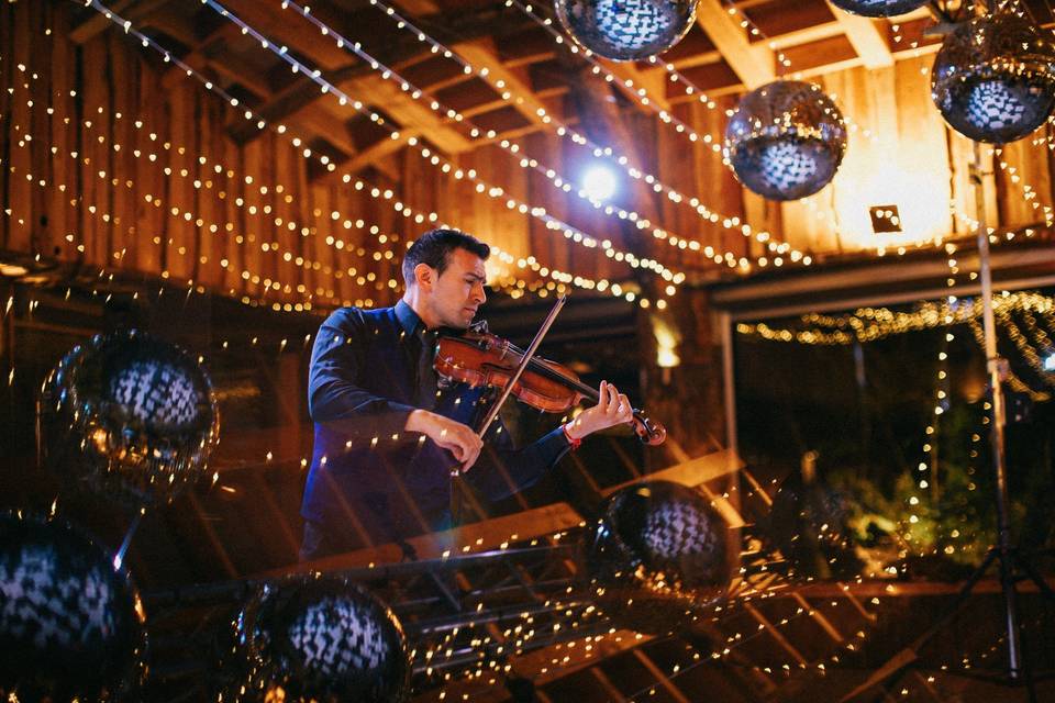 Violinista huilo huilo