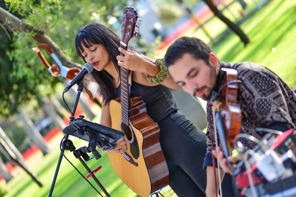 Cantante y violinista