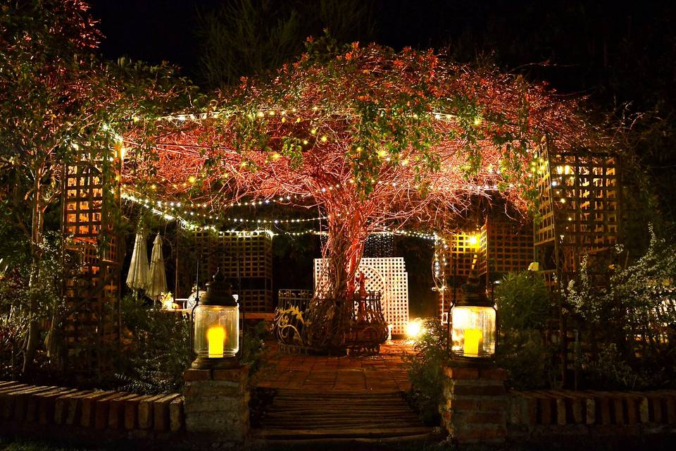 Jardines nocturno