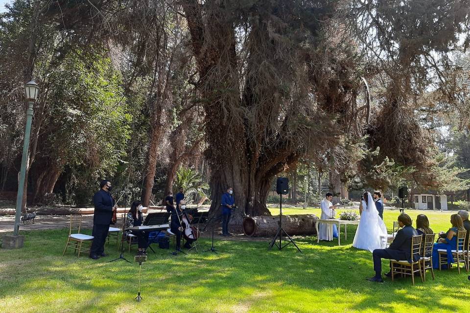 Coro Angeli músicos boda 2021