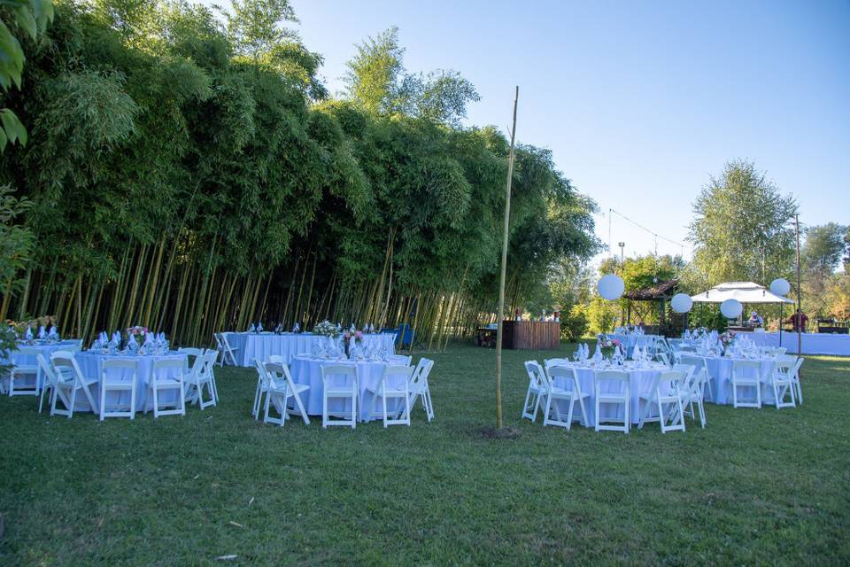 Matrimonio bosque de bambú