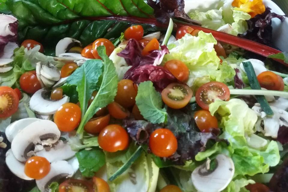 Ensaladas