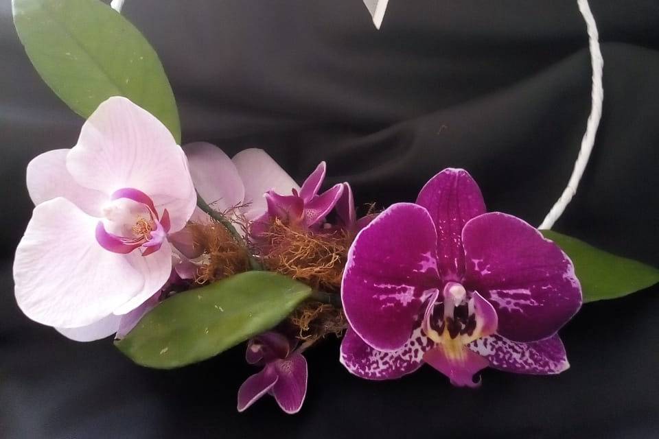 Hoop bouquette de orquídeas